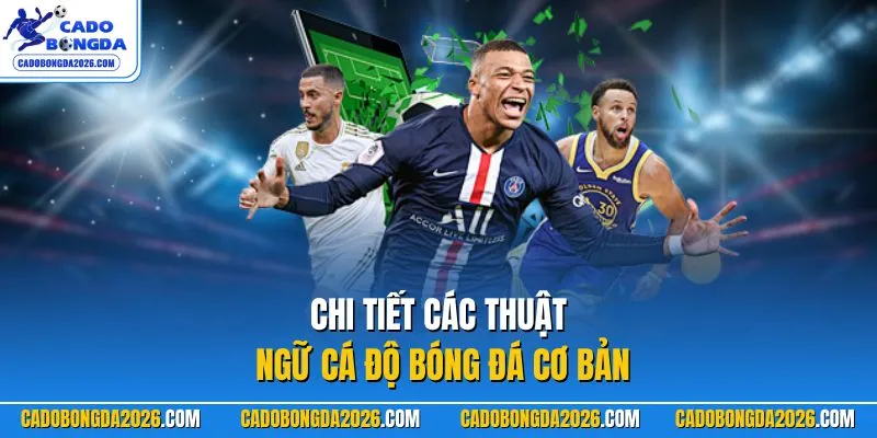 Chi tiết các thuật ngữ cá độ bóng đá cơ bản