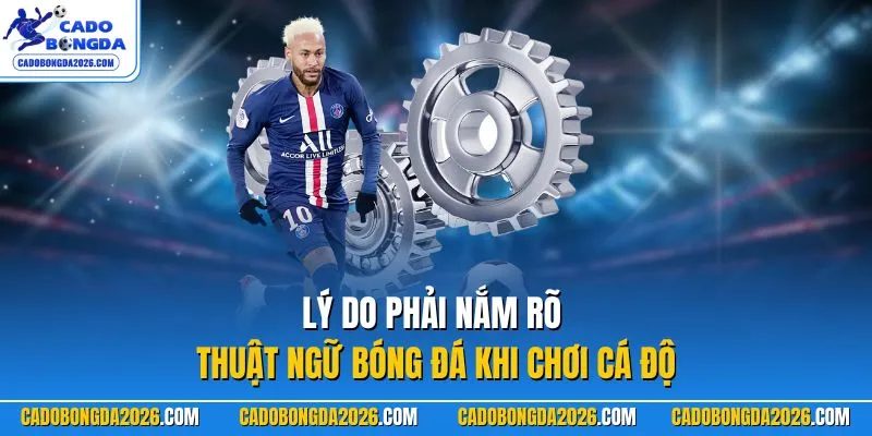  Lý do phải nắm rõ thuật ngữ bóng đá khi chơi cá độ