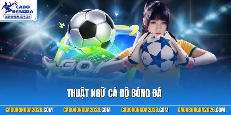 Thuật ngữ cá độ bóng đá