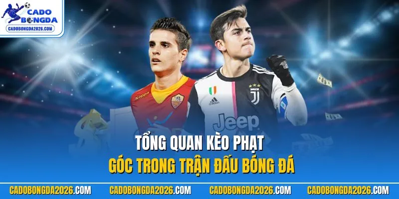 Tổng quan kèo phạt góc trong trận đấu bóng đá