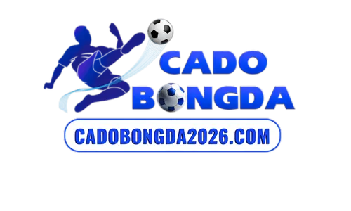 CÁ ĐỘ BÓNG ĐÁ